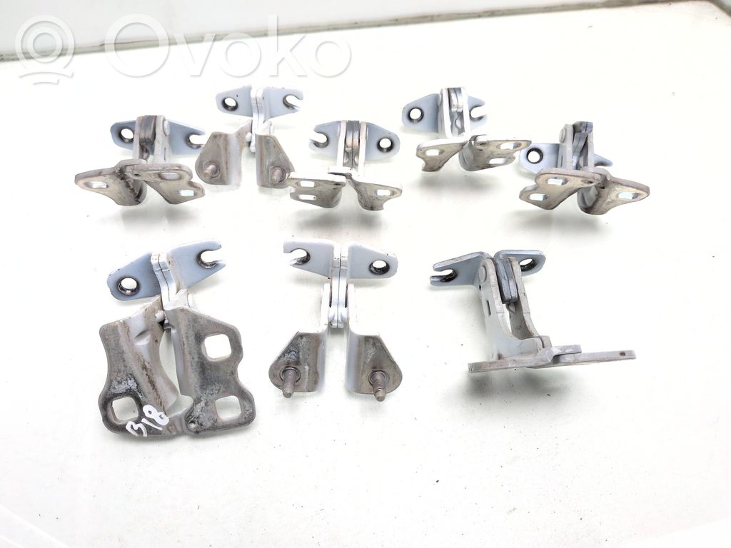 Tesla Model 3 Front door hinge set 