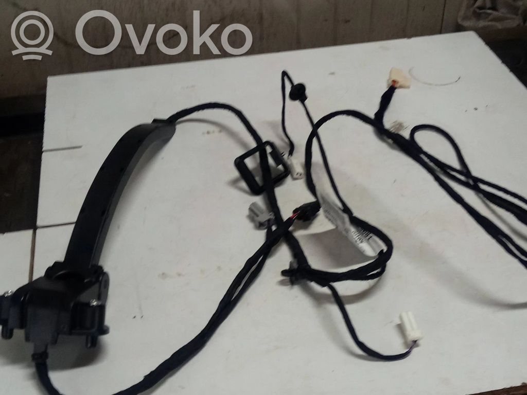 Peugeot Boxer Cableado de puerta trasera 