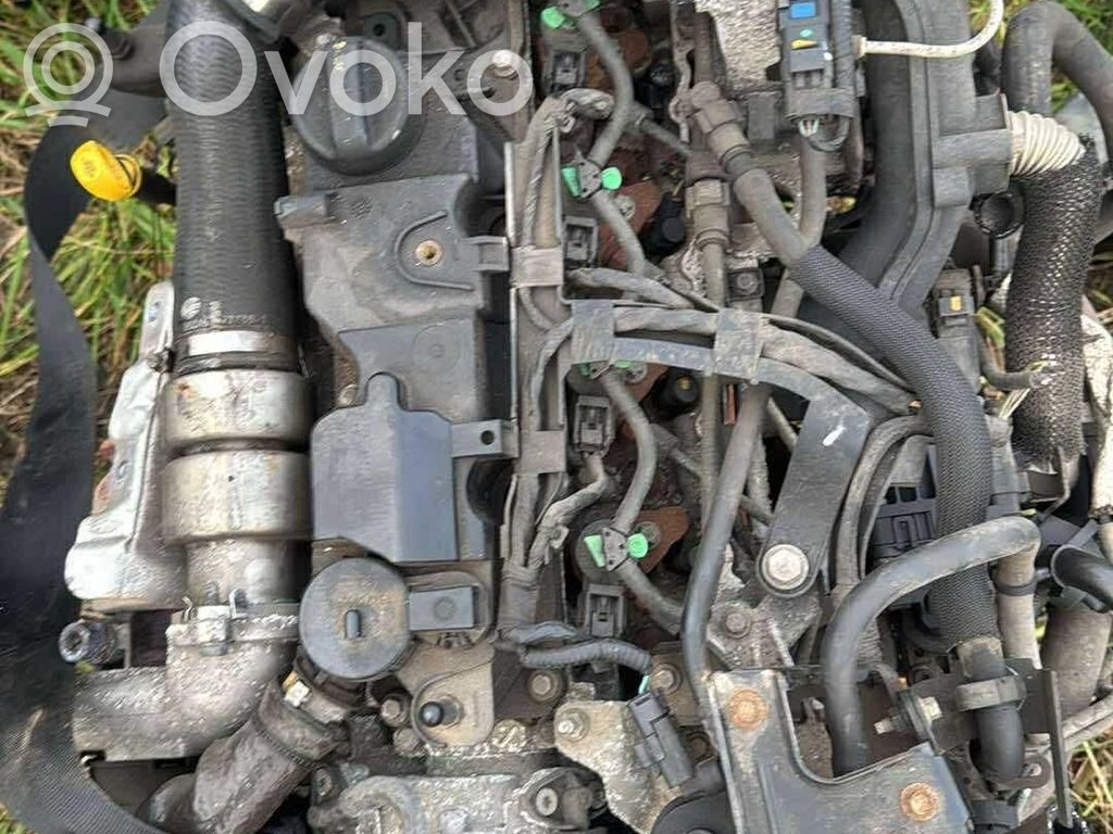 Ford Fiesta Variklis 