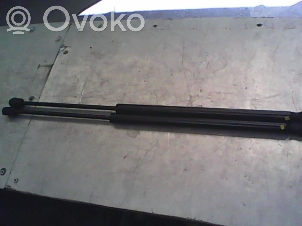 Ford Focus Tailgate/trunk strut/damper 