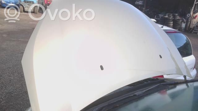 Engine bonnet/hood   1569486