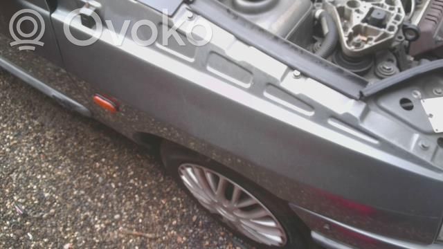 Renault Clio I Spārns 