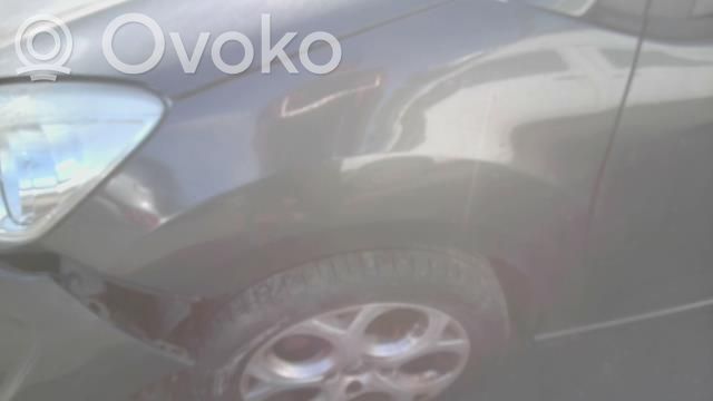 Citroen C3 Sparnas 