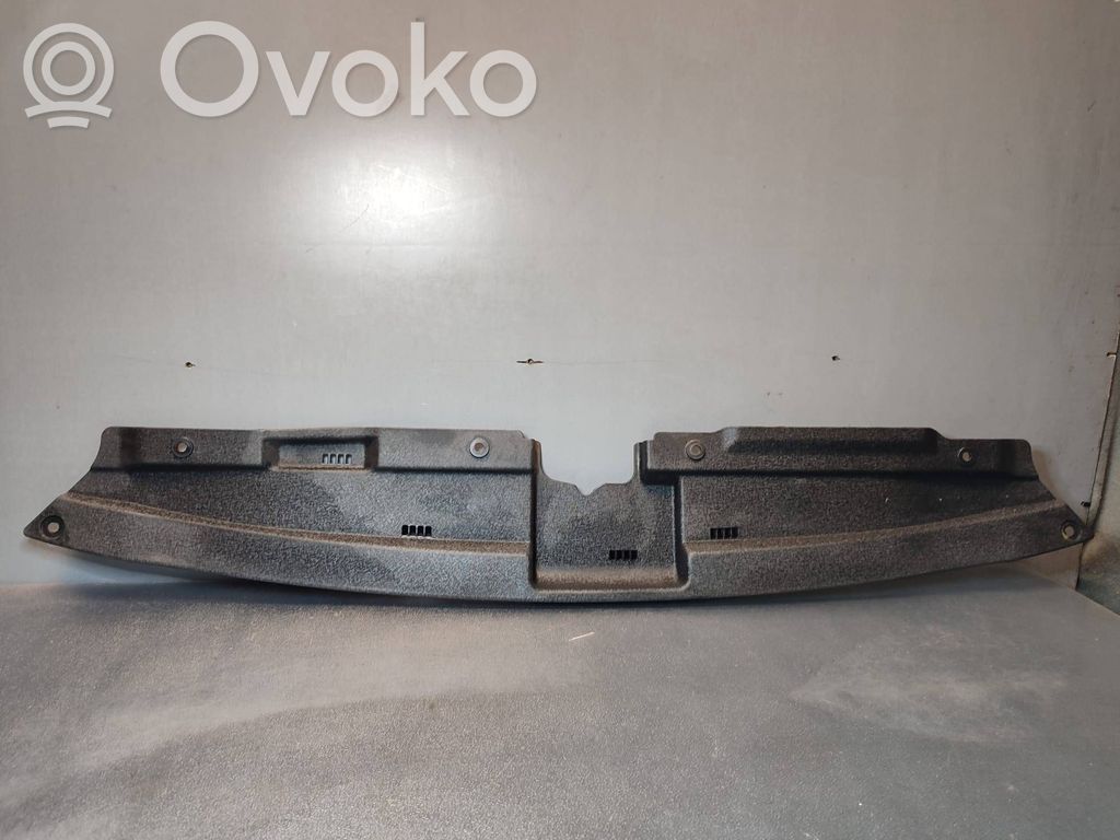 Radiator trim   A286570000