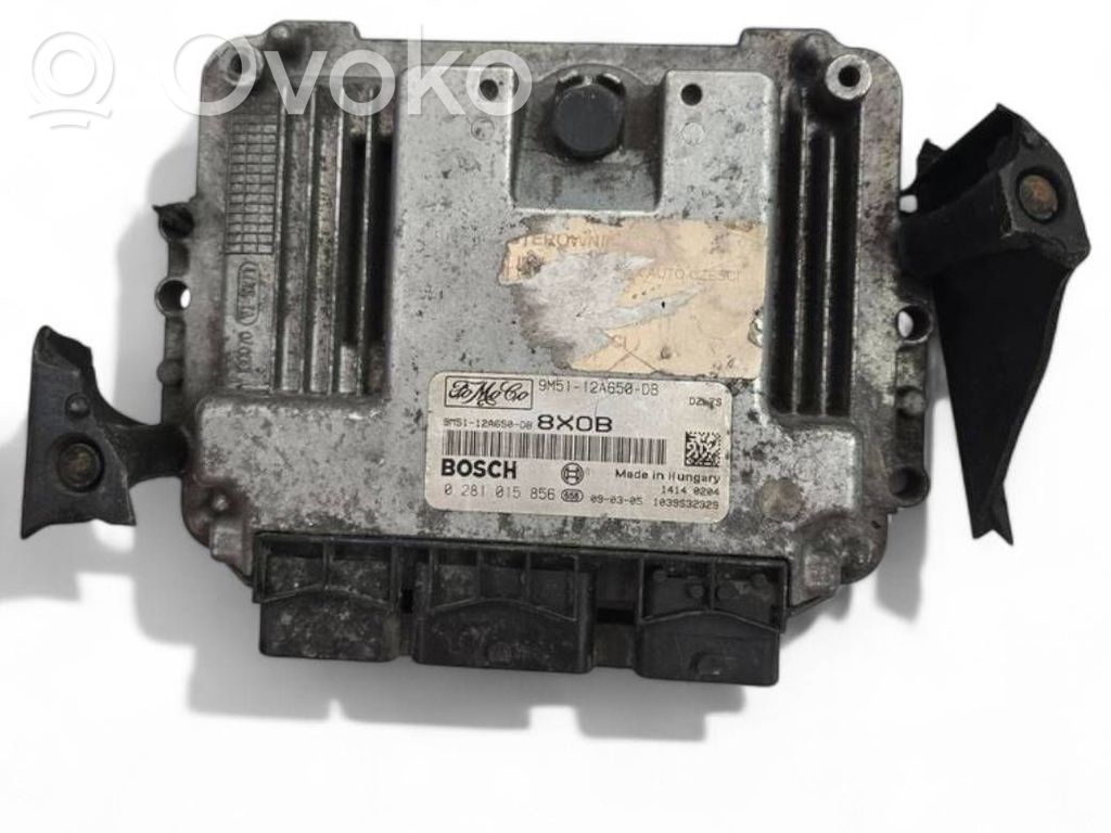 Ford Focus Engine control unit/module 