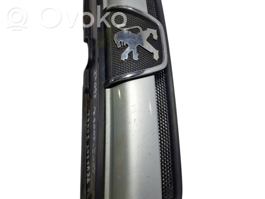 Peugeot 407 Front grill 