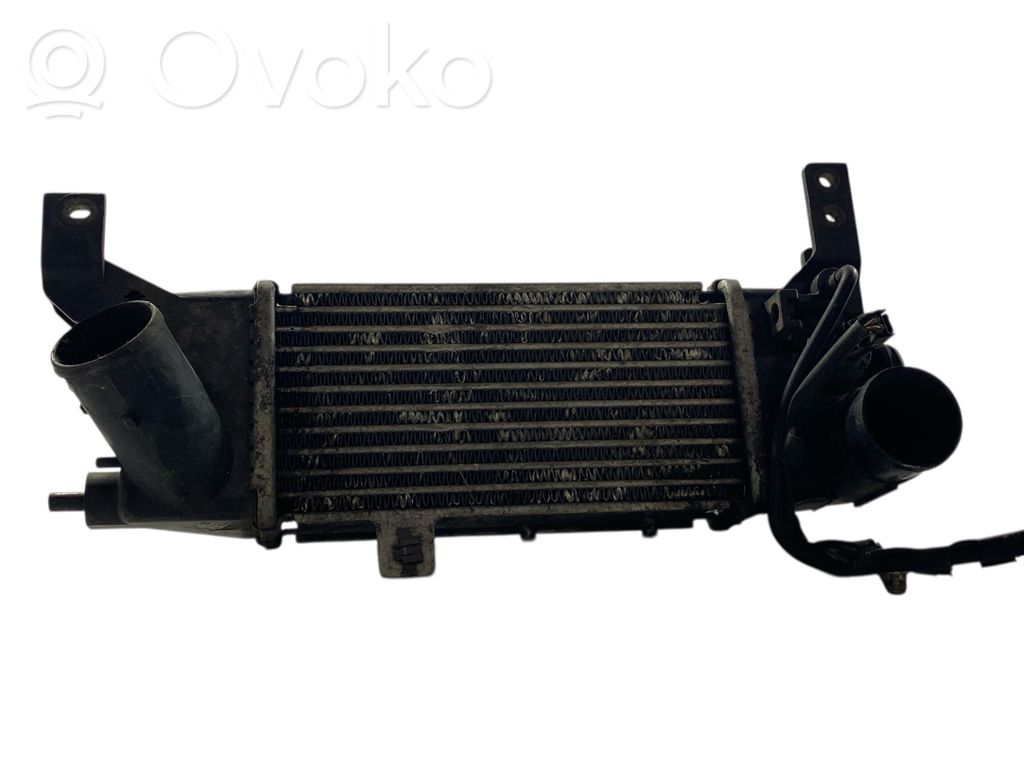 Intercooler radiator