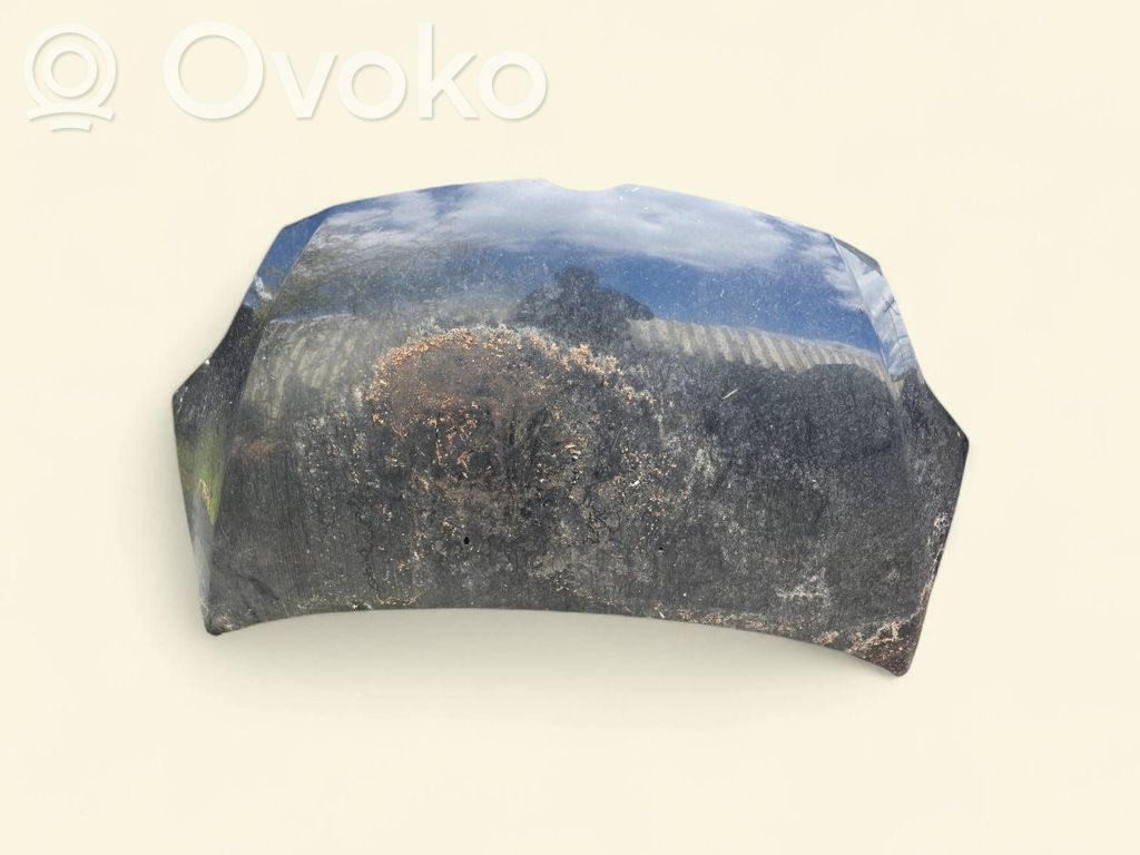 Engine bonnet/hood
