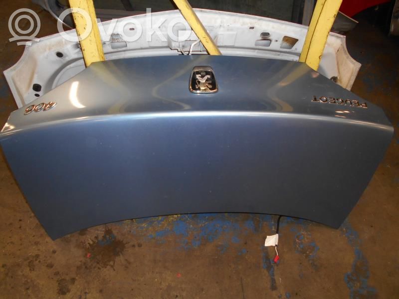 Tailgate/trunk/boot lid   860670