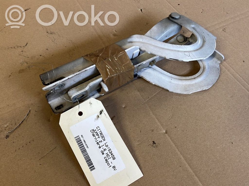 Citroen Jumpy Engine bonnet/hood hinges 
