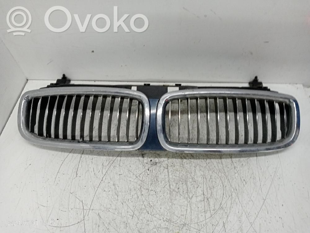 Kühlergrill   51137037727