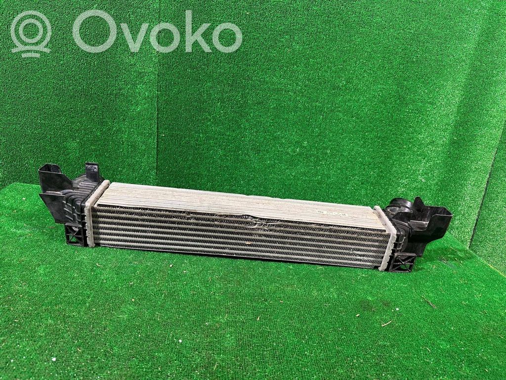BMW 1 F40 Interkūlerio radiatorius 
