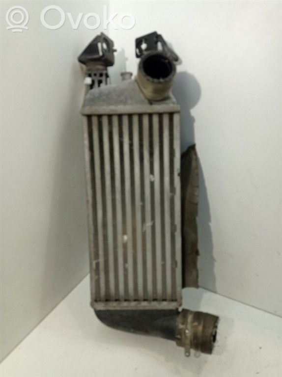 Intercooler radiator   1560794,1560794,169A1000