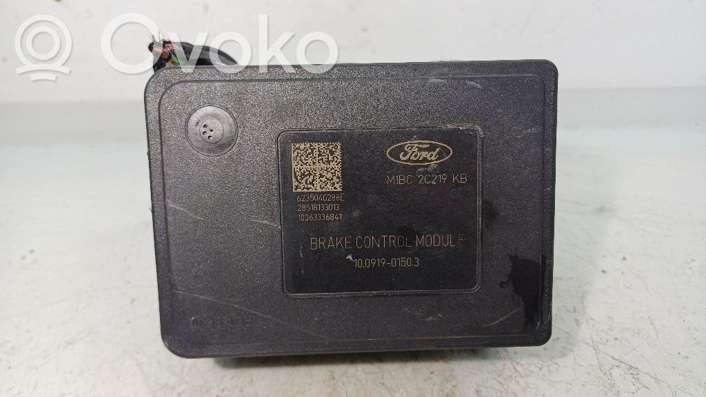 ABS control unit/module   FSJB