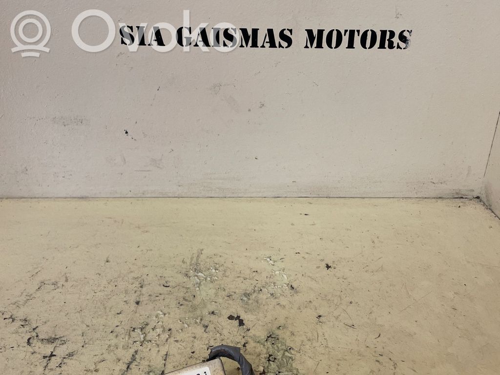 Audi A6 S6 C6 4F Antenos stiprintuvas 