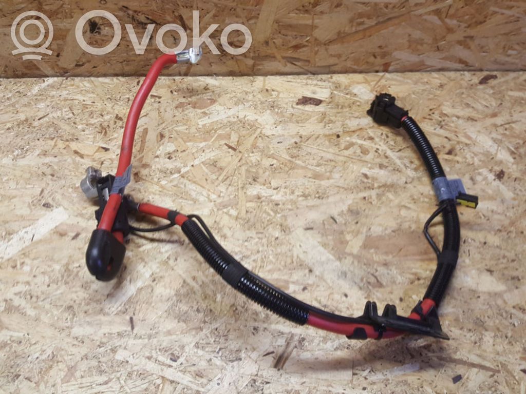 Pluskaapeli (akku)   6904877