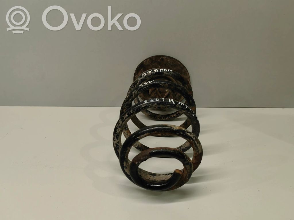 Rear coil spring