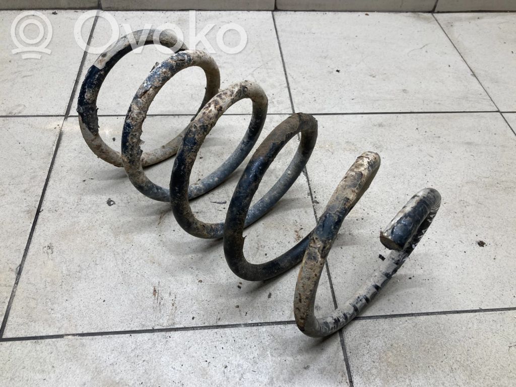 Rear coil spring