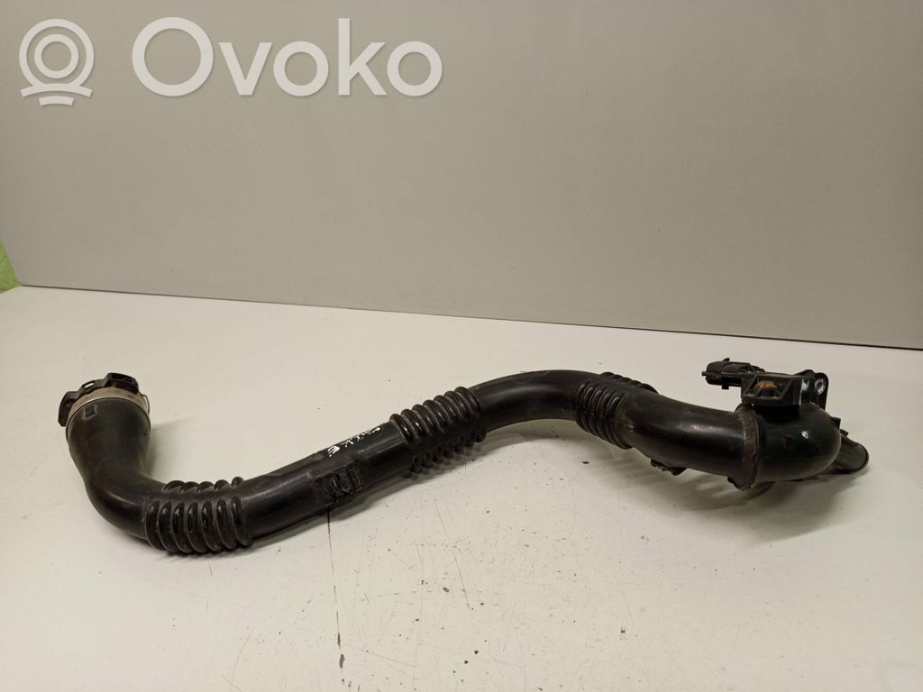 Nissan Juke I F15 Intercooler hose/pipe 