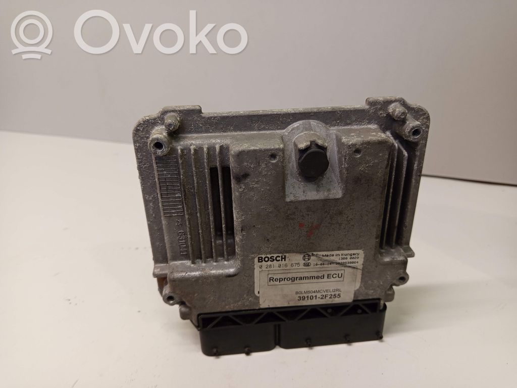 Engine control unit/module   391012F255,0281016675