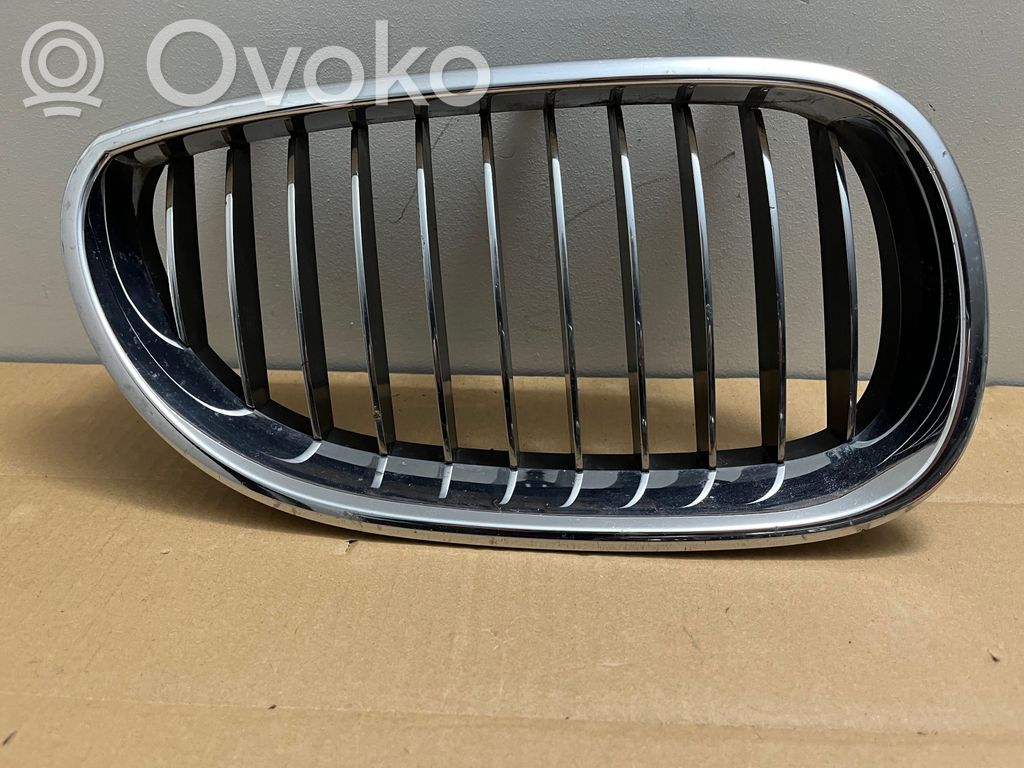 Kühlergrill   51137027062A
