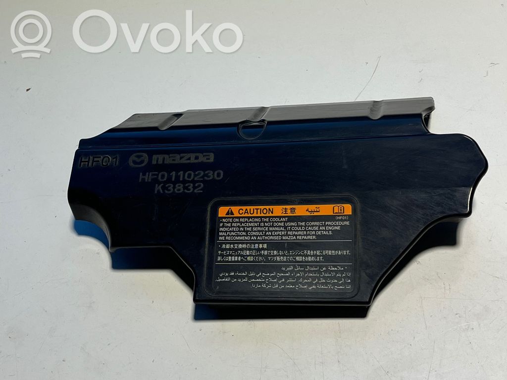Engine cover (trim)   HF0110230,K3832