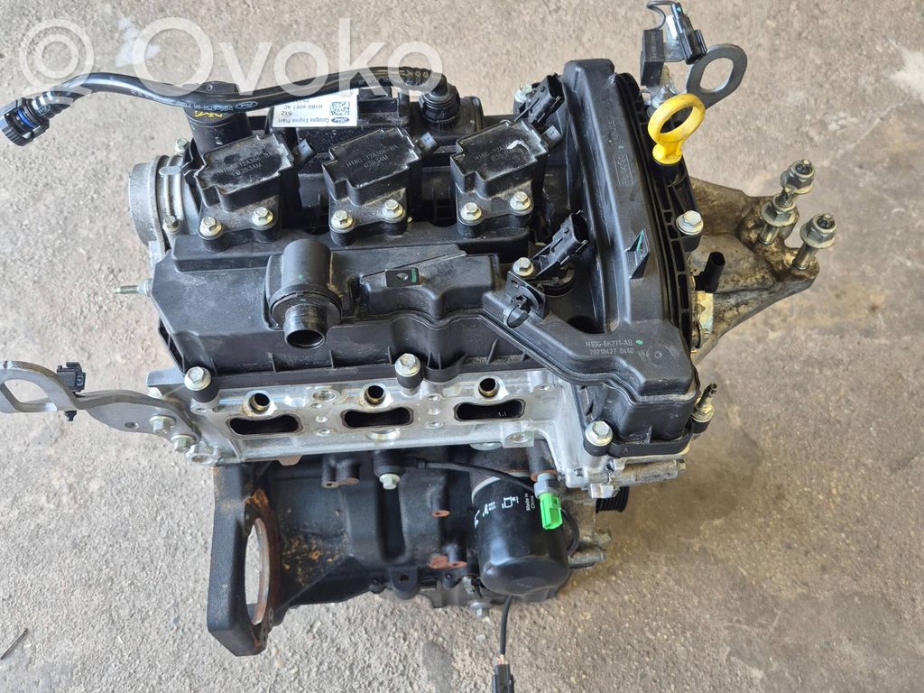 Ford Fiesta Motor 