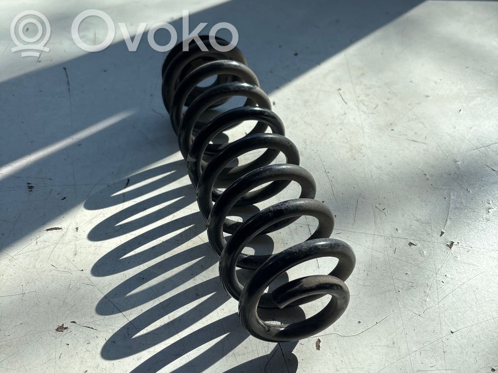Dacia Spring Rear coil spring 