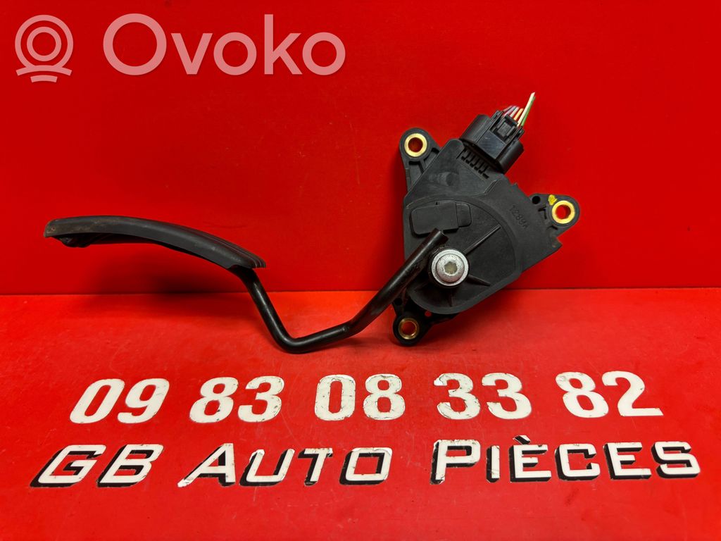 Renault Clio III Kaasupoljin 