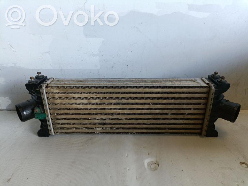Interkūlerio radiatorius   CC119L440BE