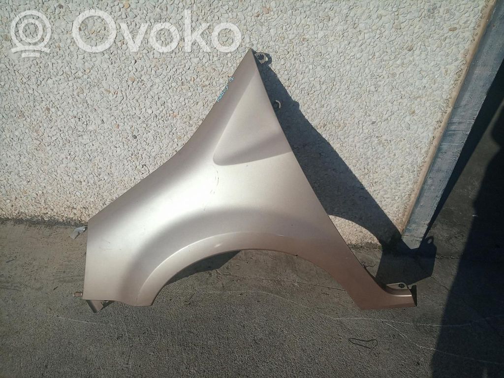 Renault Modus Priekinė arka 