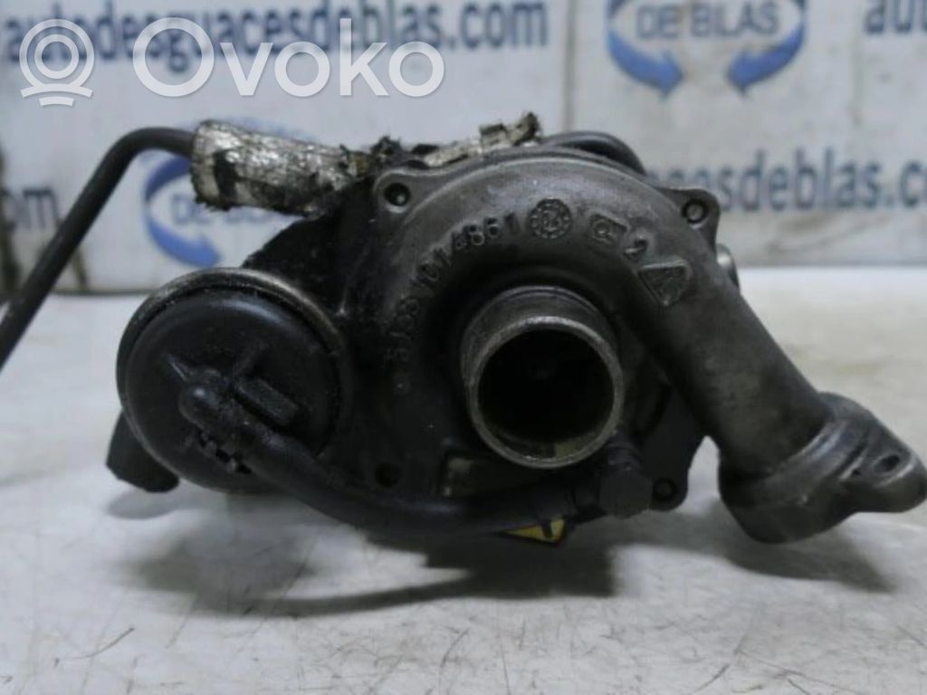 Turbo   KP487599