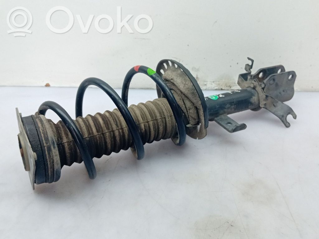 Stoßdämpfer vorne   543027411R