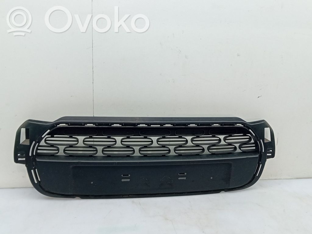 Kühlergrill   9833504580