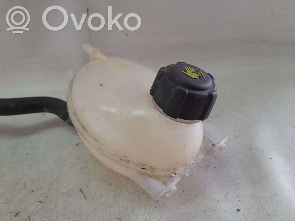 Depósito del refrigerante   217107259R