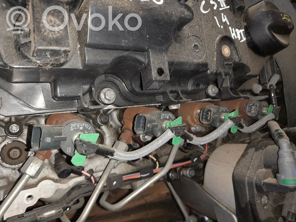Citroen C3 Injektor Einspritzdüse