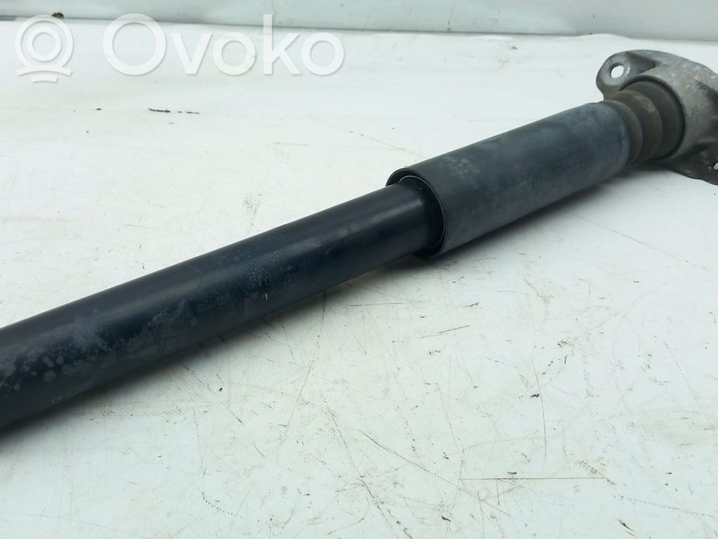 Stoßdämpfer hinten   344459
