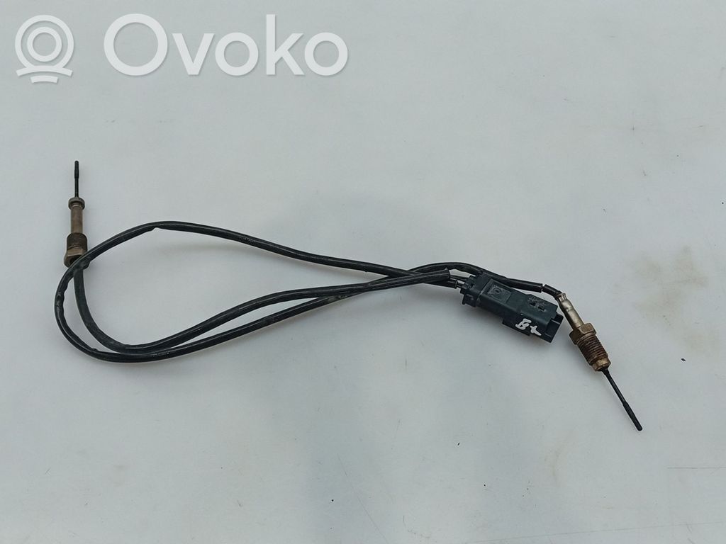 Sonda lambda   9812376480