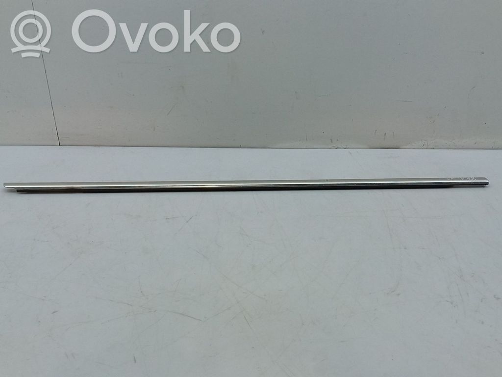 Volkswagen PASSAT B6 Listwa drzwi przednich 