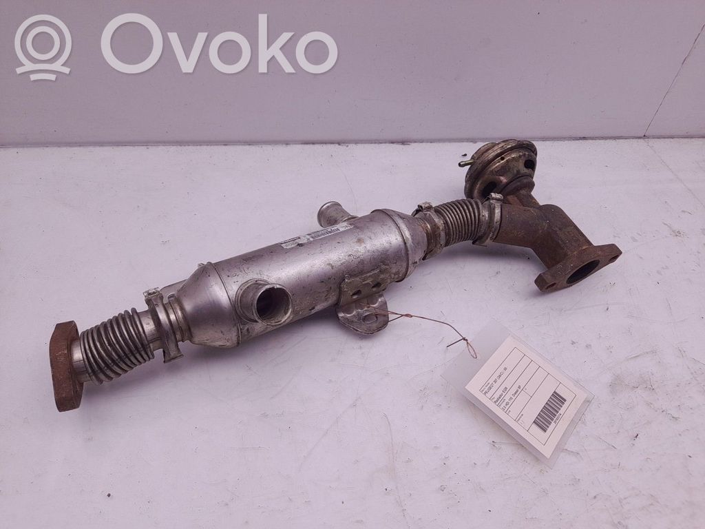Peugeot 307 Valvola di raffreddamento EGR