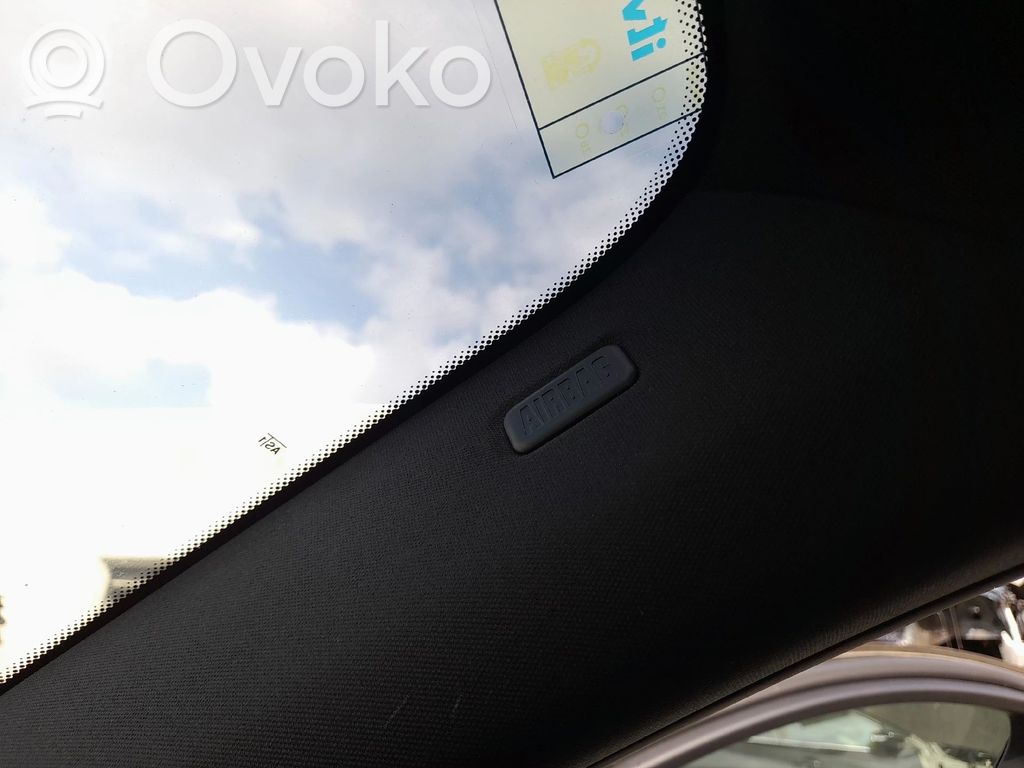BMW X6 E71 Airbag cortină 