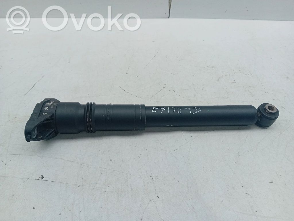Stoßdämpfer hinten   9841379480