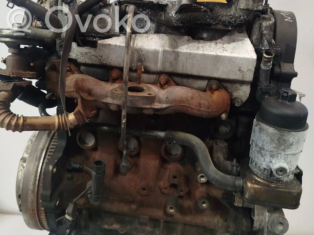 Motor