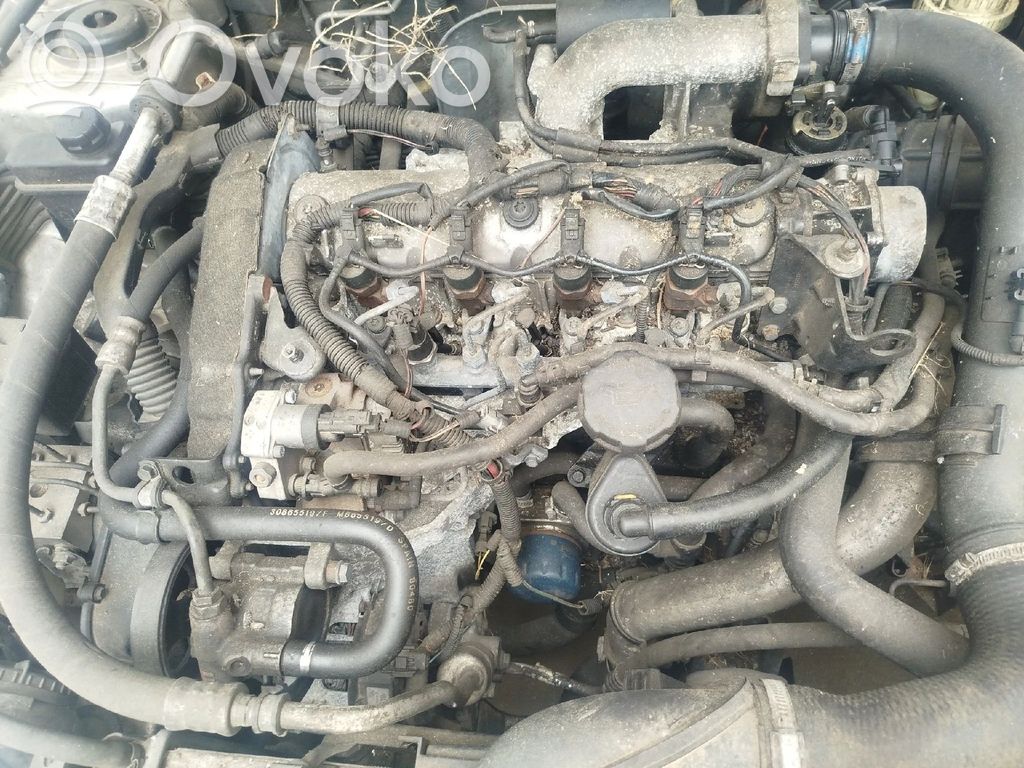 Motor
