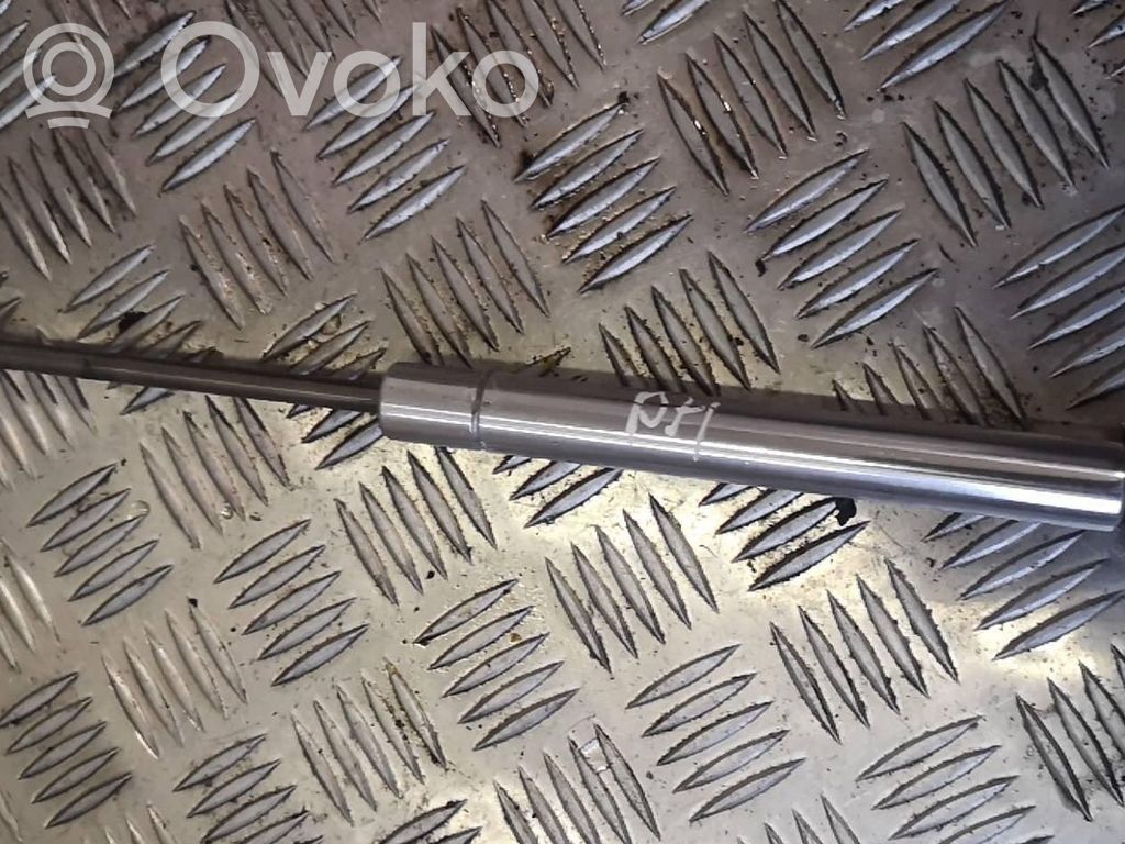 Volkswagen Phaeton Tailgate/trunk strut/damper 