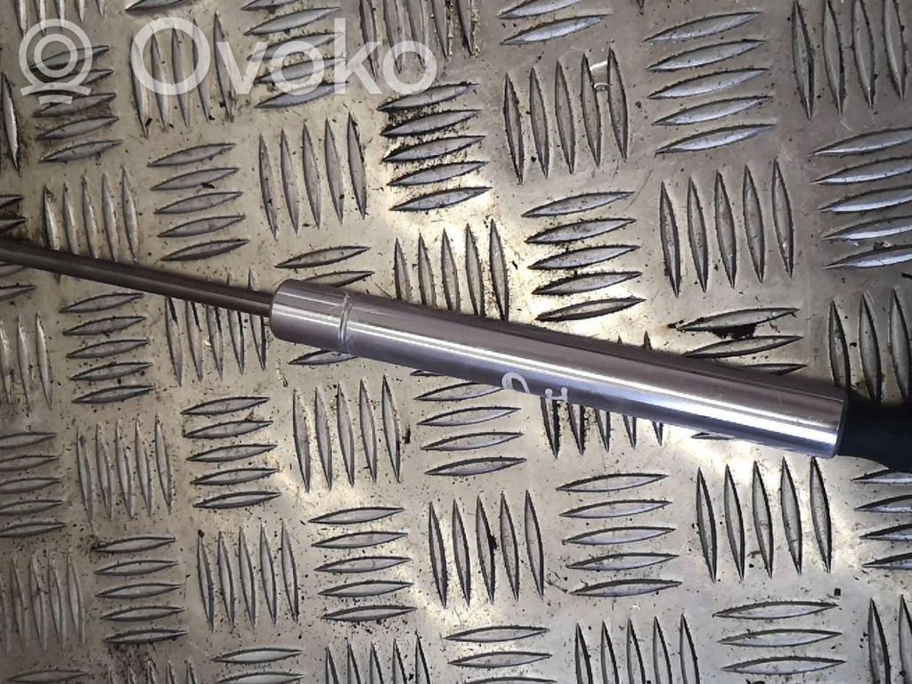 Volkswagen Phaeton Tailgate/trunk strut/damper 