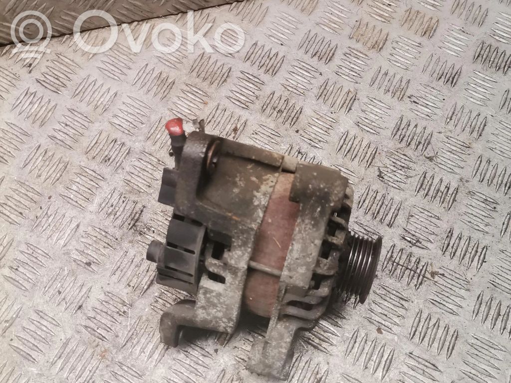 Alternador   24463064YJ