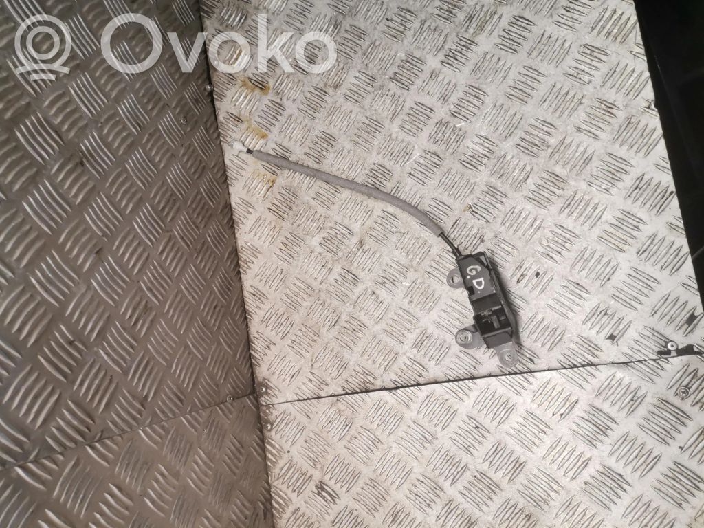 Spyna galinio dangčio   5124716214708
