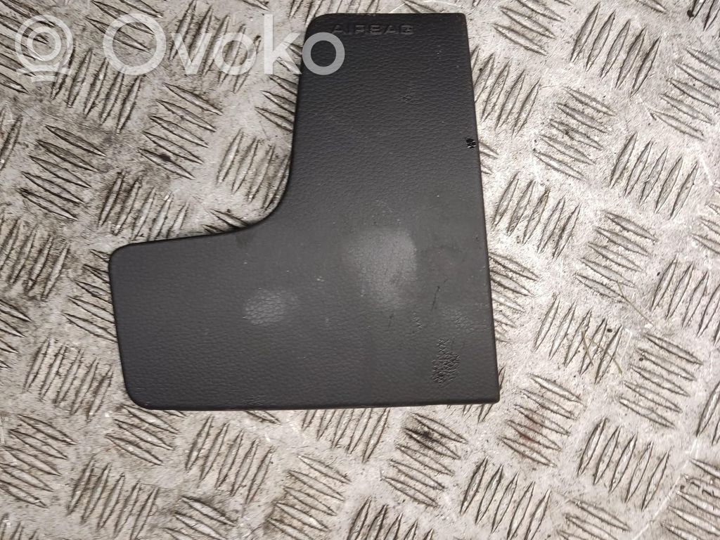 Panel trim   1107339X