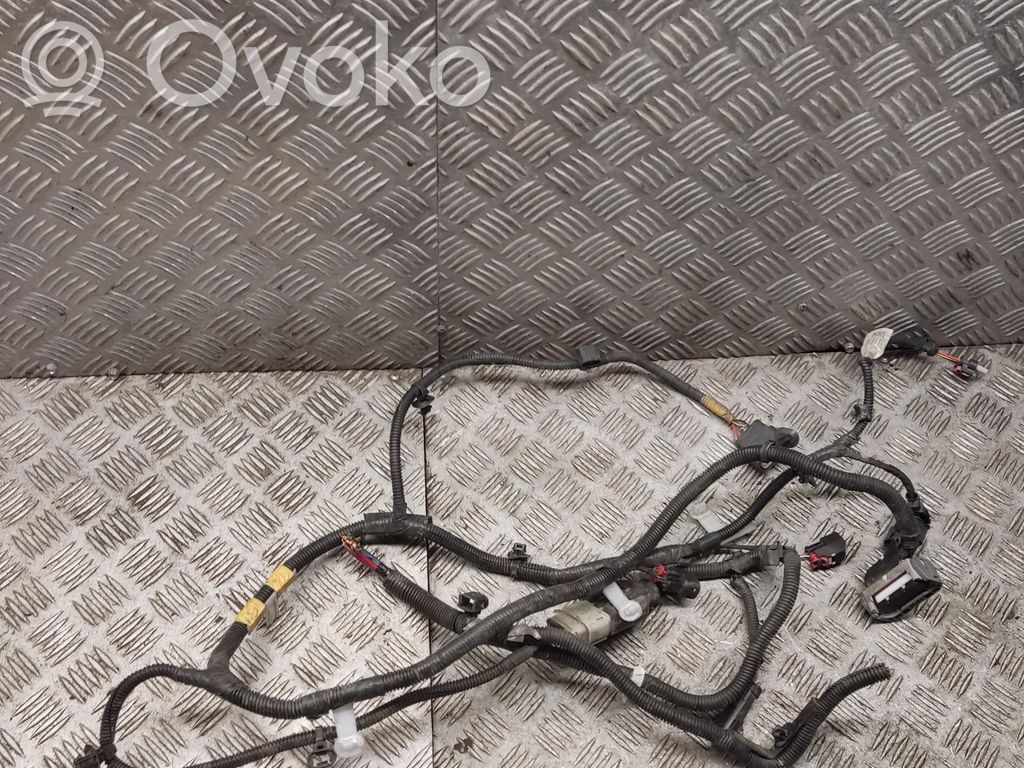 Other wiring loom   206796801B